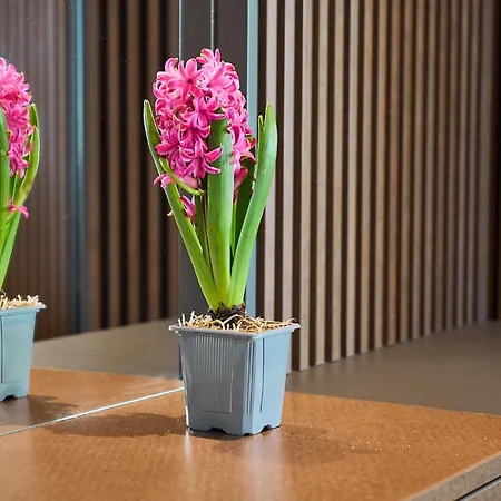 Skyview Luxury Retreat - Valentino Xcity Tower Apartament *