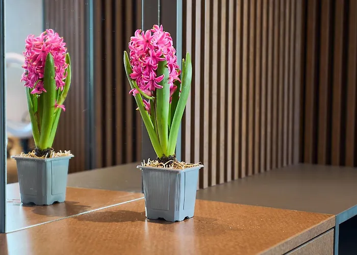 Skyview Luxury Retreat - Valentino Xcity Tower 公寓 *